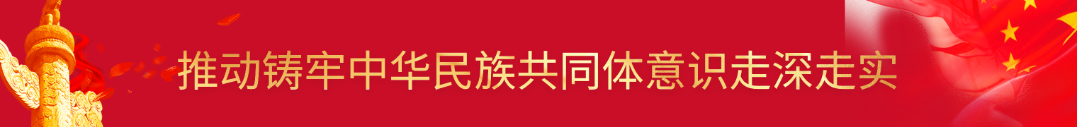 推进中华民族共同体